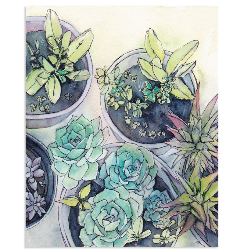 succulent garden painting "Succulent Garden" Botanical Art Print