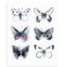"All Together Now" Butterfly Watercolor Print