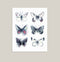 "All Together Now" Butterfly Watercolor Print