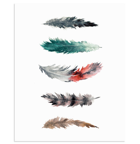 "FEATHER STUDY II" Feathers Art Print