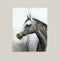 "Grey One" Horse Art Print