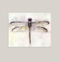 "Paper Wings" Dragonfly Art Print