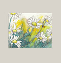 "Shasta Daisies" Floral Art Print