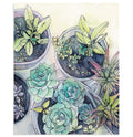 "Succulent Garden" Botanical Art Print