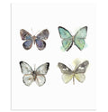 "We Are Four" Butterfly Art Print
