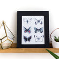 nature themed art butterfly collection