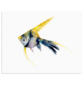 "Angel Fish" Tropical Fish Art Print