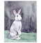 "Bella" White Rabbit Art Print