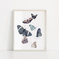 "Wanderers" Butterfly Art Print