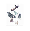 "Windswept Wanderers" Set of Two Butterfly Prints