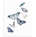 "Windswept" Butterfly Art Print