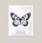 "Periwinkle Wings" Butterfly Art Print