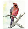"Red" Cardinal Bird Art Print