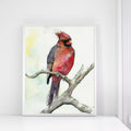 "Red" Cardinal Bird Art Print