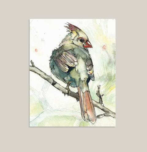"Opal" Cardinal Bird Art Print