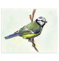 "Jet" Bird Art Print