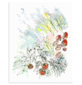 "Sun-drenched" Floral Art Print
