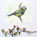 "Jet" Bird Art Print
