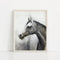 "Grey One" Horse Art Print