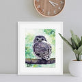 "Soren" Baby Owl Art Print