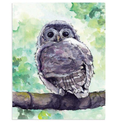 "Soren" Baby Owl Art Print