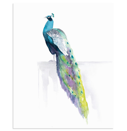 "ELEGANT REPOSE" Peacock Art Print