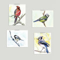 Birdsong Gallery Wall Set of Four Prints