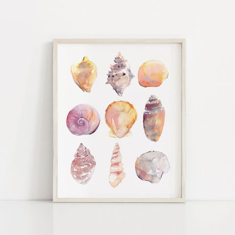 "Sand Jewels" Sea Shells Art Print