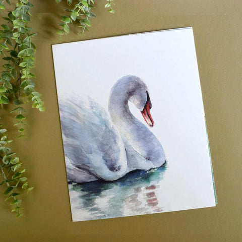 "Willow" Swan Art Print