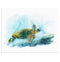 "Mariner" Sea Turtle Art Print